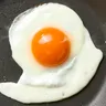 Egg的个人资料图片